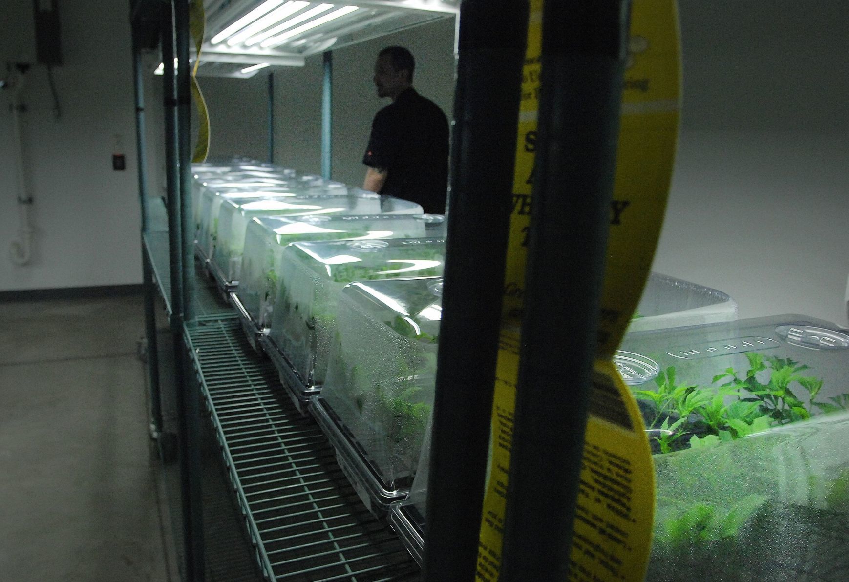 060119-blm-loc-5marijuana
